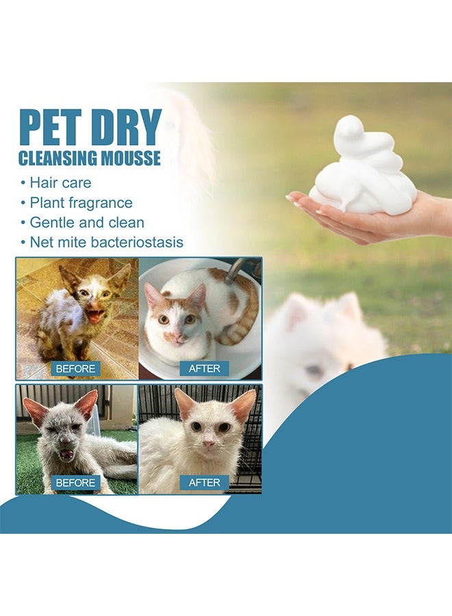 Pet Dry Cleaning Mousse,Natural Coconut Oil & Chamomile Essence Waterless Cleaning Mousse, Cat and Dog Shampoo Pet Dry Shampoo Foam Cleaner Bath Grooming for Cat Kitten Dog Puppy No Rinse 60ml