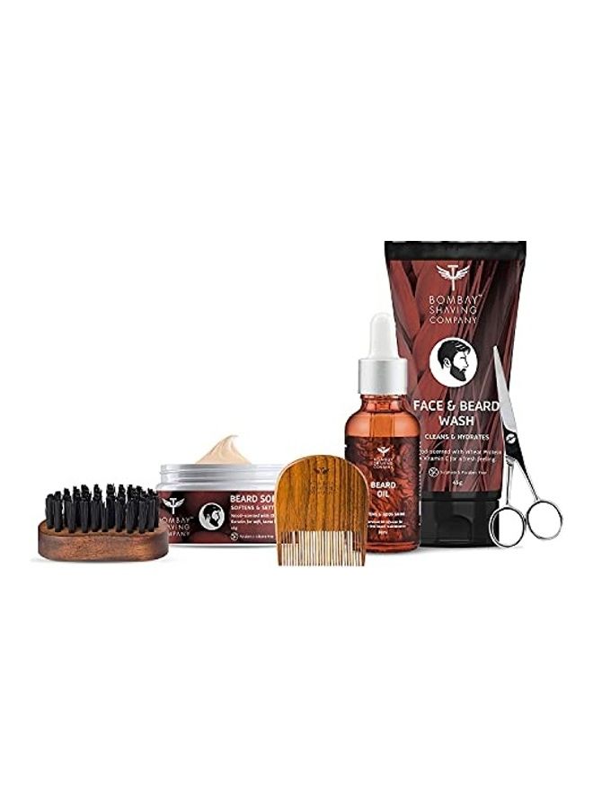 6-In-1 Advanced Beard Maintenance Kit For Men Multicolour