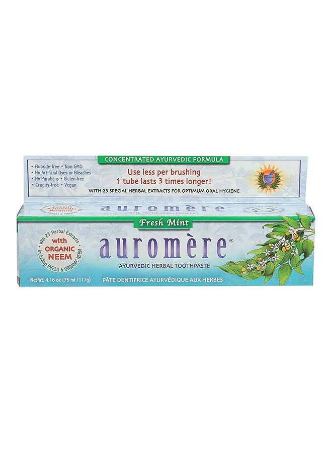 Fresh Mint Ayurvedic Herbal Toothpaste