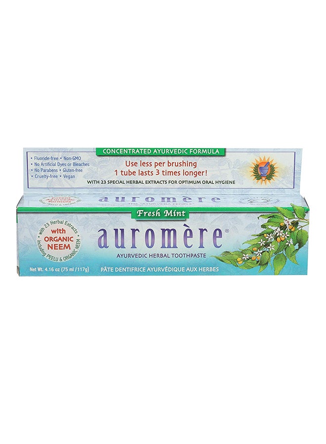 Toothpaste Fresh Mint 117grams