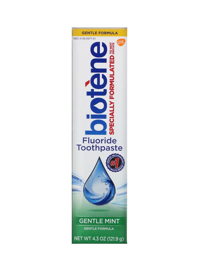 Dental Products Gentle Formula Fluoride Toothpaste 121.9grams