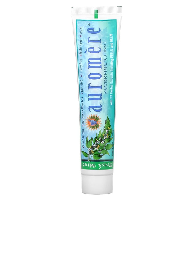 Ayurvedic Herbal Toothpaste Fresh Mint 416 oz 117 g