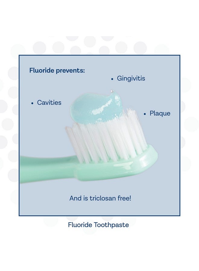 Rosys® Mint Fluoride Toothpaste Gel Ada Approved Prevents Cavities Gingivitis And Plaque Pack Of 3