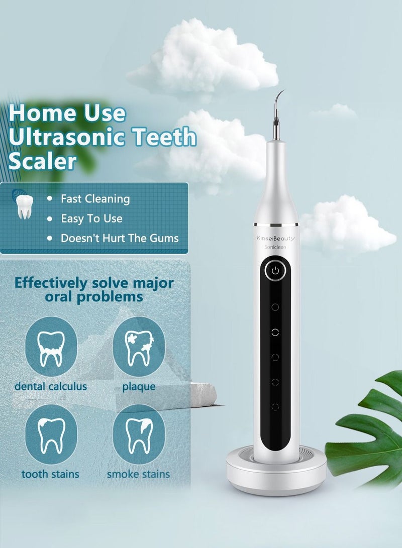 Ultrasonic Electric Dental Calculus Remover Kit, with 5 Adjustable Modes 2 Replaceable Clean Heads