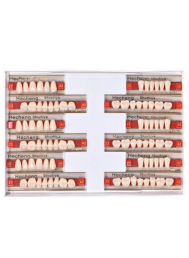 84 Pcs Dental Complete Acrylic Resin Denture False Teeth 3 Sets Synthetic Polymer Resin Denture Teeth 23 Shade A2 Upper + Lower Dental Materials