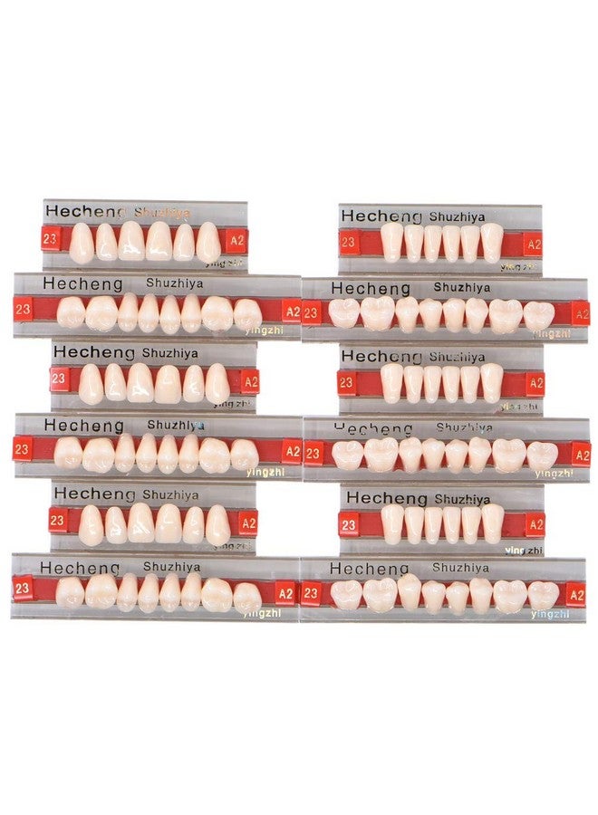 84 Pcs Dental Complete Acrylic Resin Denture False Teeth 3 Sets Synthetic Polymer Resin Denture Teeth 23 Shade A2 Upper + Lower Dental Materials