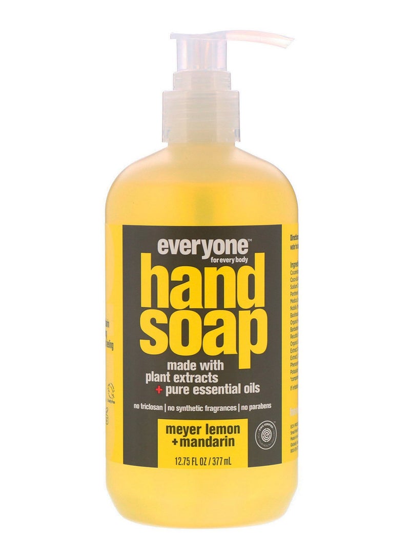 Meyer Lemon And Mandarin Liquid Hand Soap 377ml