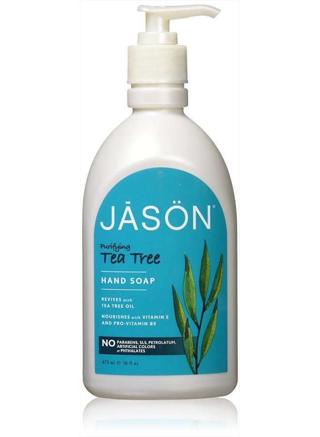 Jason Pure Natural Hand Soap - Purifying Tea Tree - 16 oz - 2 pk