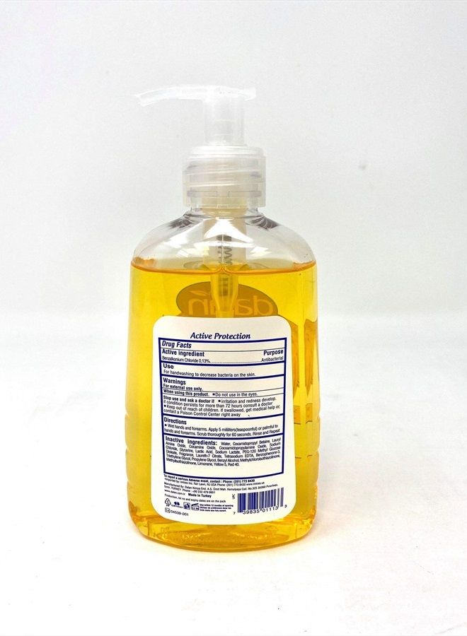 Hand Wash Anti-Bacterial Active Protection 10.15 Ounce Pump (300ml)