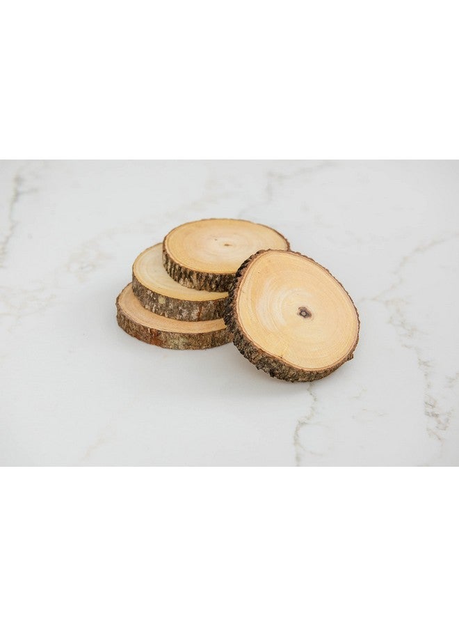 Acacia Tree Bark Coasters Set Of 4