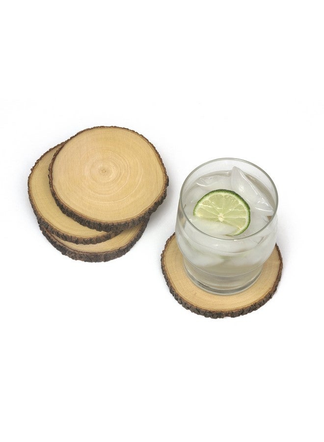 Acacia Tree Bark Coasters Set Of 4