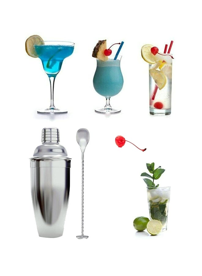 9-Piece Cocktail Shaker Set With Stand Silver/Brown 750ml