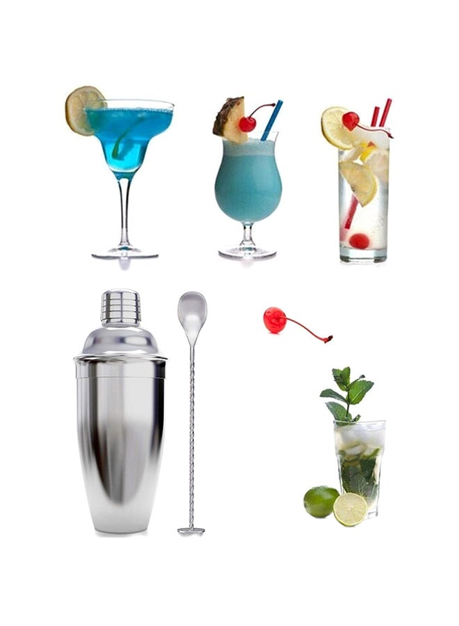 9-Piece Cocktail Shaker Set With Stand Silver/Brown 350ml