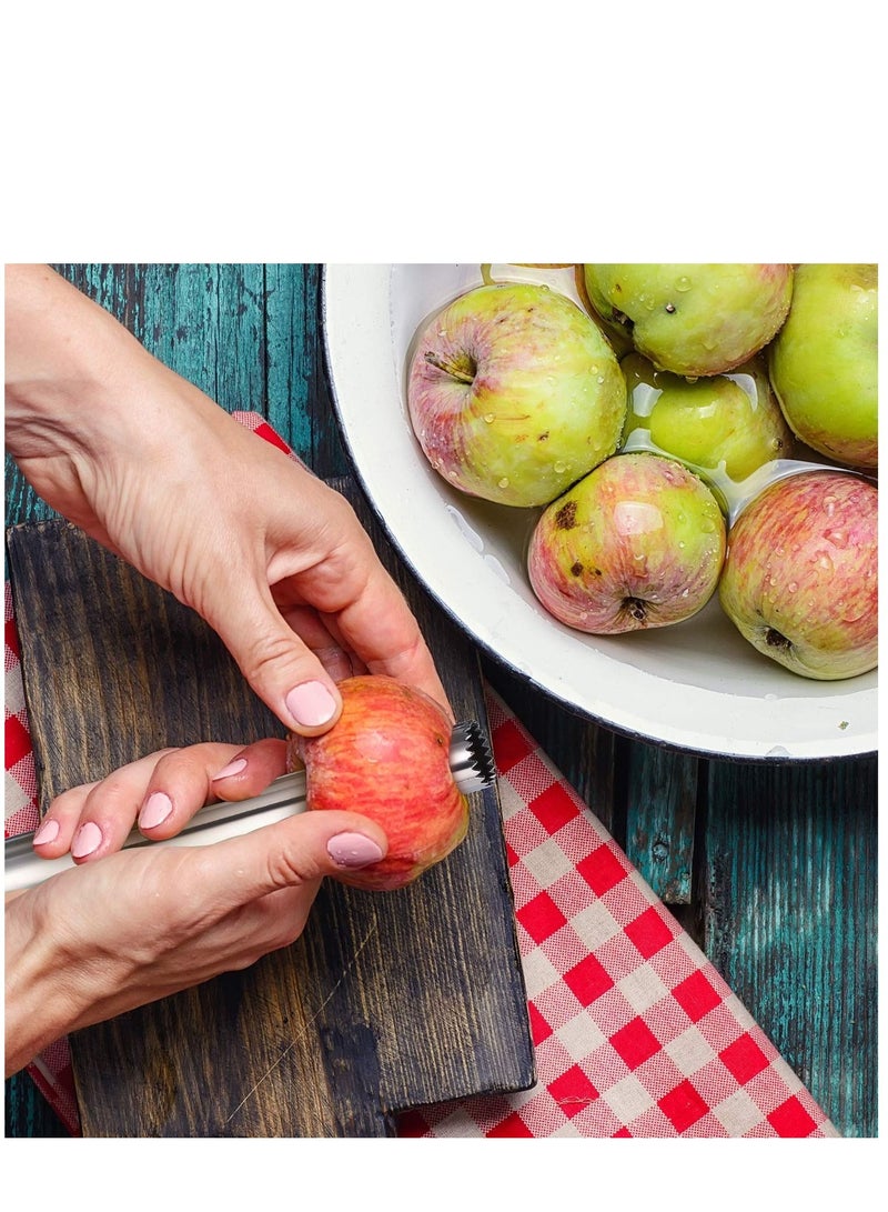 Corer, Lever Tool by Stainless Multi-Function Fruit Corer and Pitter Remover Set with Serrated Blade Pear 4 Sizes for Home Kitchen, Pear, Cherry, Jujube Red Date Pieces