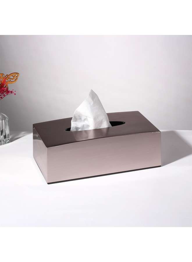 Acrylic Tissue Box Metal Finish - Silver