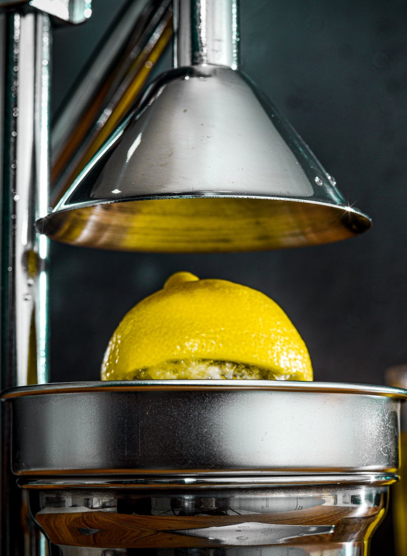 Hand Juicer, Aluminium Alloy Hands, Iron Base, DC2144