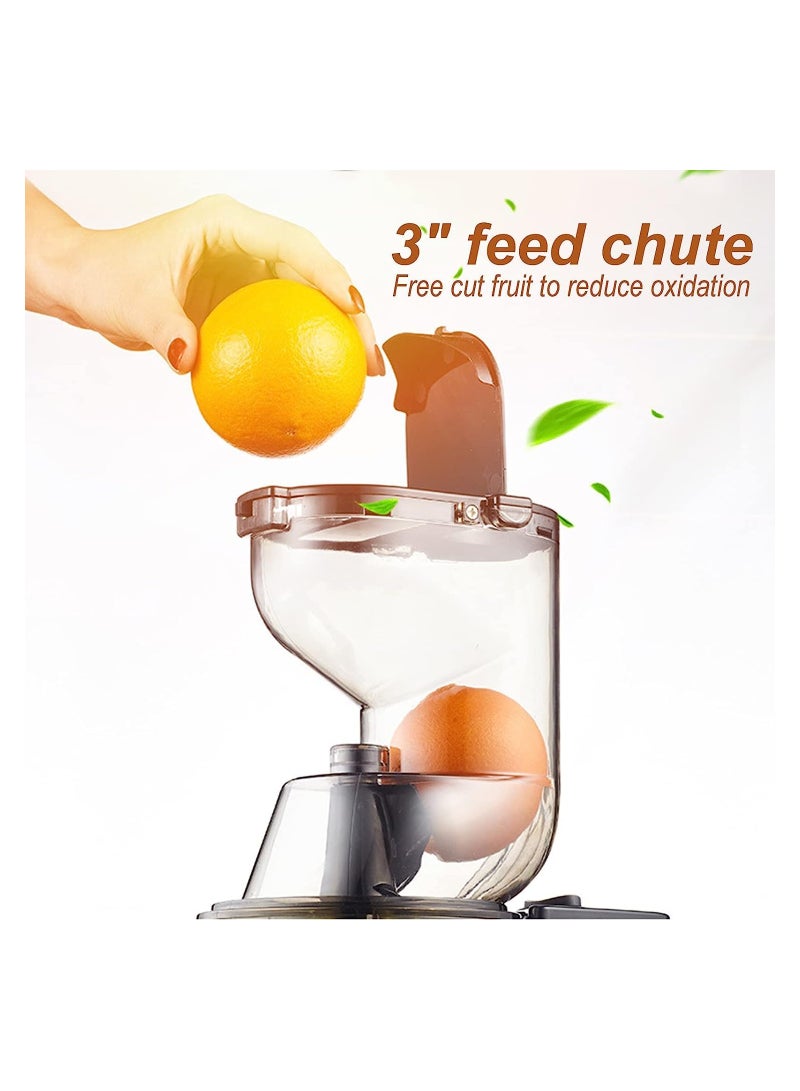 Slow juicer Juicer, slow juicer,cold press juicer easy to clean,juicer with high output,dried fruit pulp and opposite function