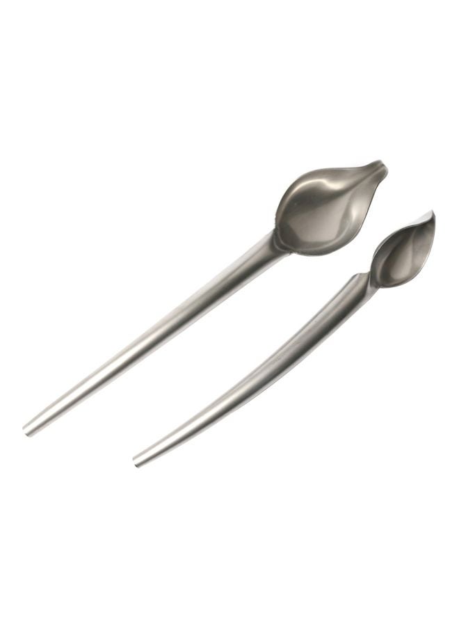 Pack Of 2 Stainless Steel Chocolate Coffee Spoon Set Silver 22x4x4cm