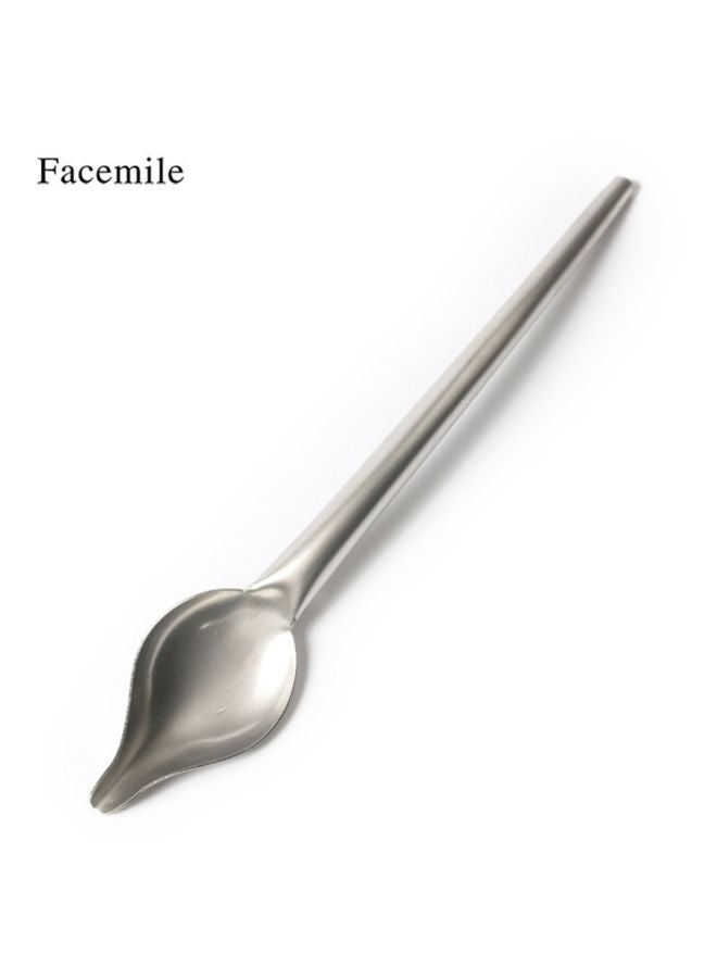 Pack Of 2 Stainless Steel Chocolate Coffee Spoon Set Silver 22x4x4cm