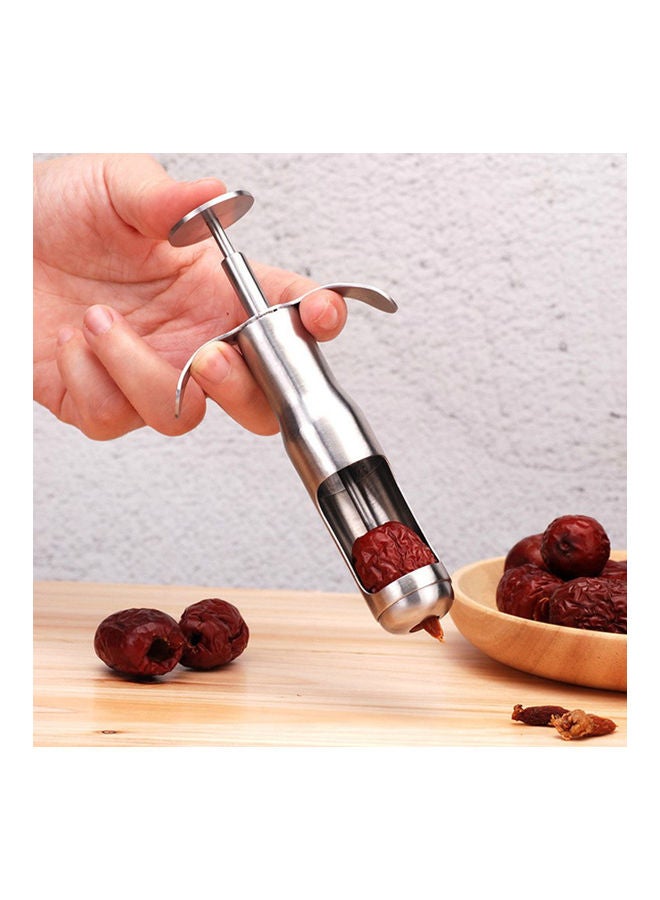 Fruit Core Remover Silver