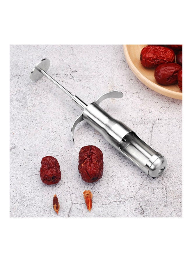 Fruit Core Remover Silver