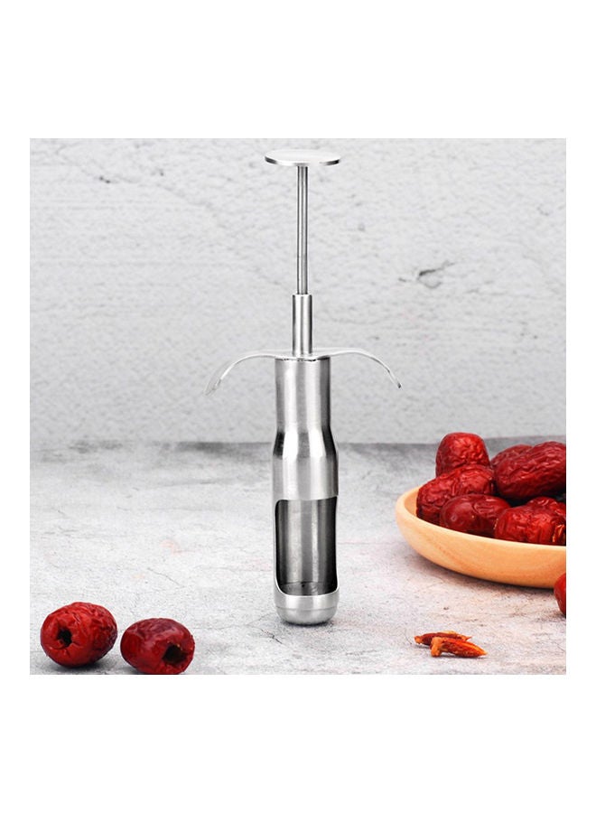 Fruit Core Remover Silver