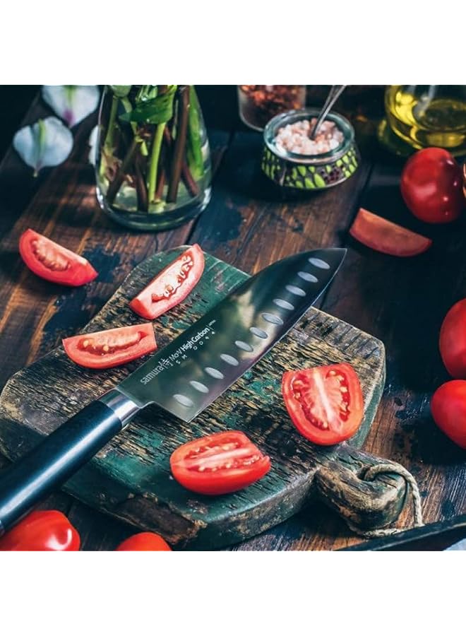 MO-V Asian Professional Japanese Santoku Hollow Ground 7,0