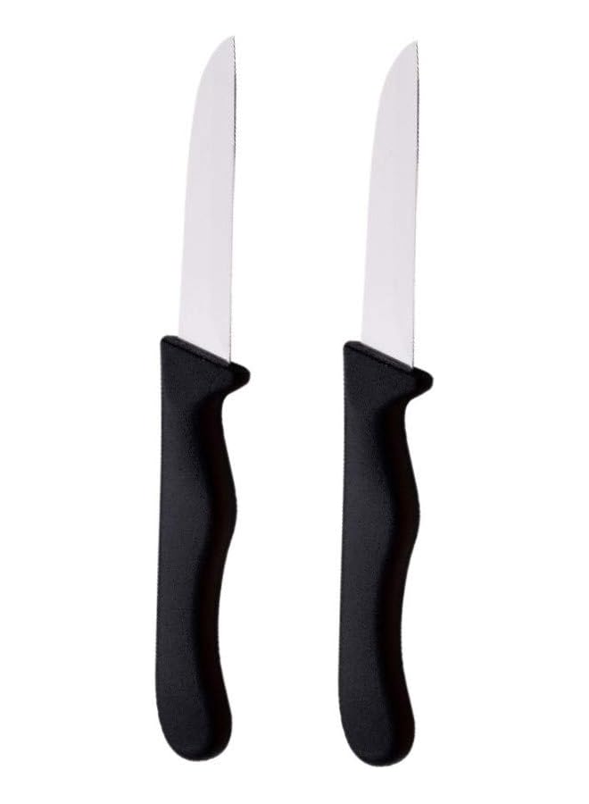 Stainless Steel 2Pc Fruit Knife Set, Black Colour, Bg39900Bk, Black/Silver