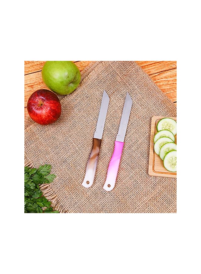 DC1838 12Pcs Steak Knife Set - Stainless Steel Fruit Razor Sharp Blades | Ultra Cooking Knives, Perfect for Carving & Chopping Best Kitchen Gift Lovers Chefs