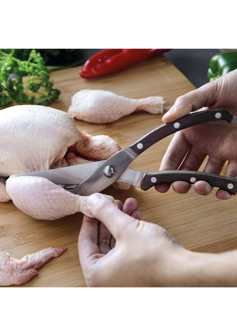 BergHOFF Essentials Stainless Steel Poultry Shears, Wooden Handel, Limited Lifetime Warranty, 24.8 x 5.1 x 1.3 Cm