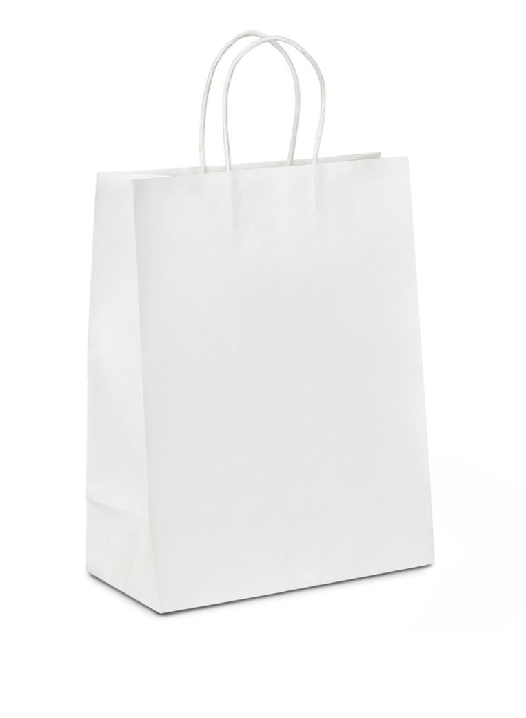 Prodel Paper Bag With Twisted handle