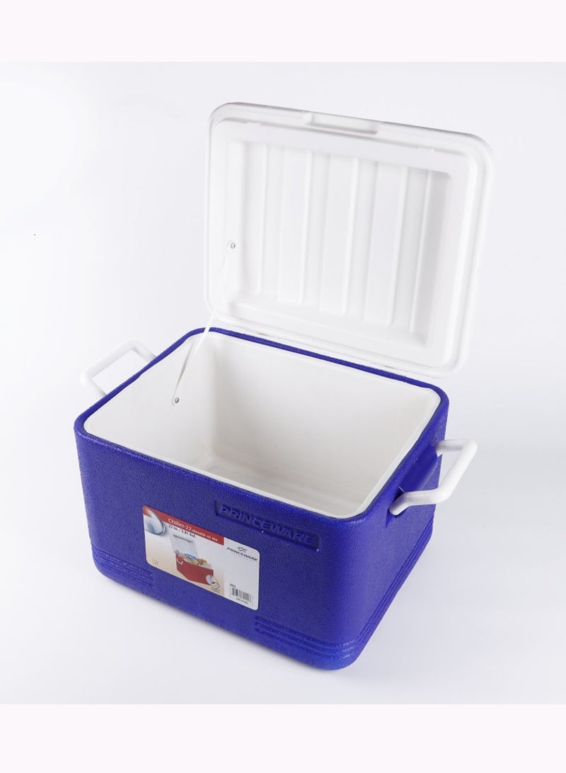 Chiller Insulated Ice Cooler Box 14ltr Assorted Color 36x27x23cm