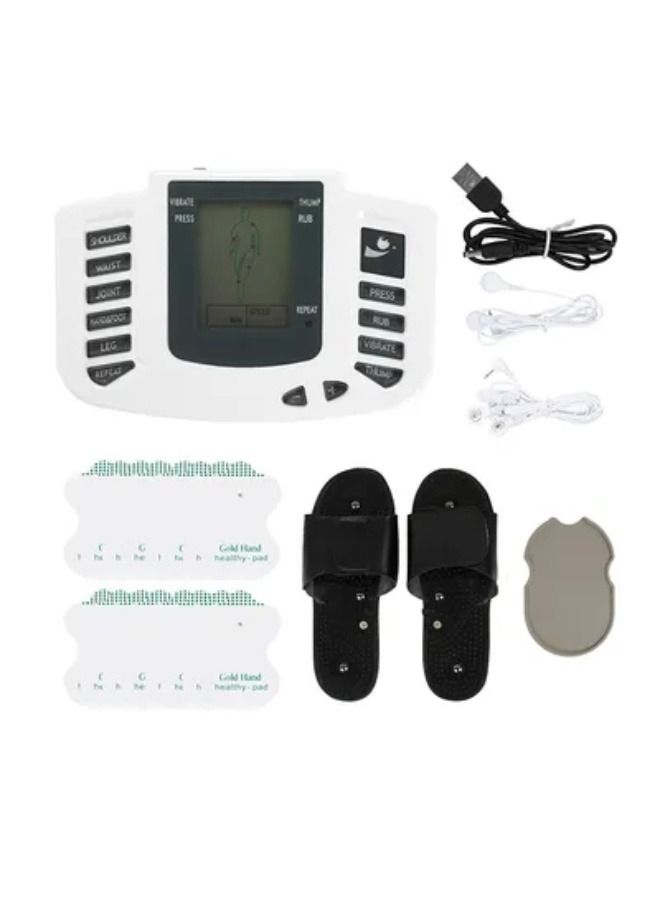 Electrical Muscle Stimulator Acupuncture Therapy Machine