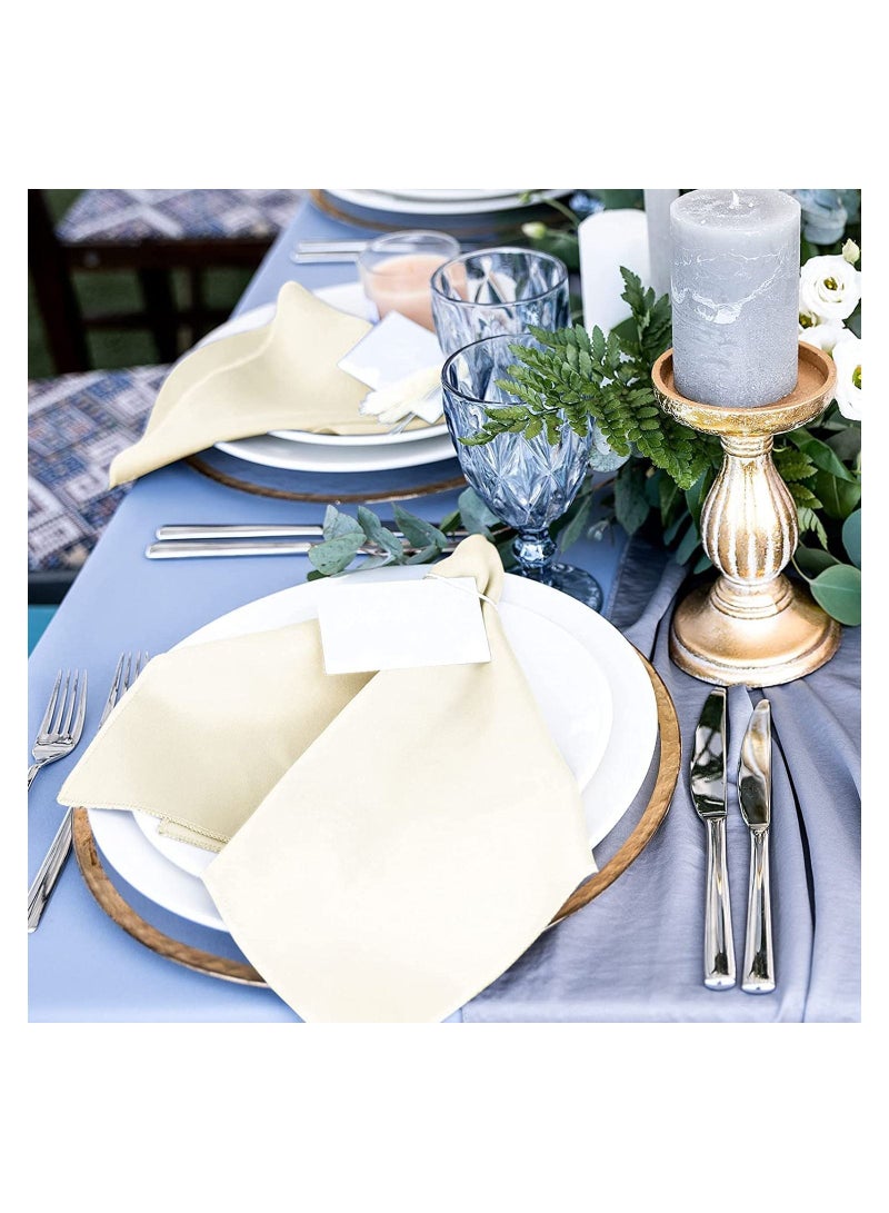 Satin Napkins, Square Table 10 Pcs 17x17