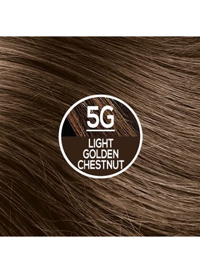 Permanent Hair Color 5G Light Golden Chestnut (Pack of 6), Ammonia Free, Vegan, Cruelty Free, up to 100% Gray Coverage, Long Lasting Results