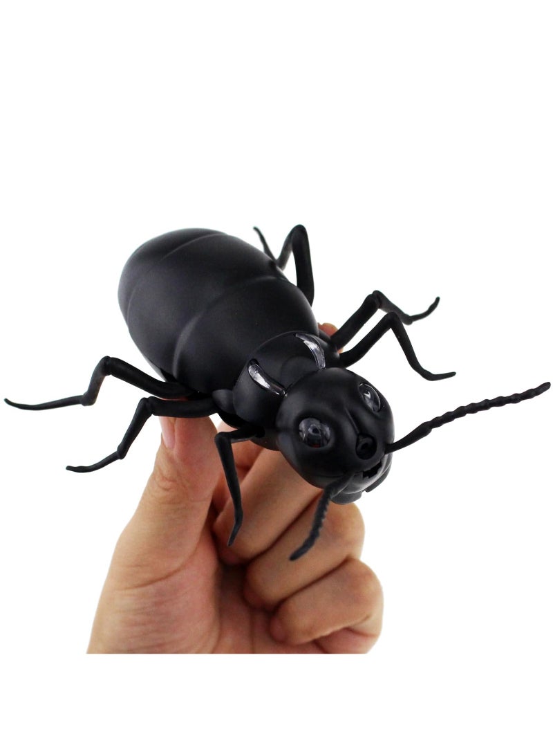Remote Control Ant RC Car Vehicle Animal Electric Insect 6 Years Plus Kids Toy