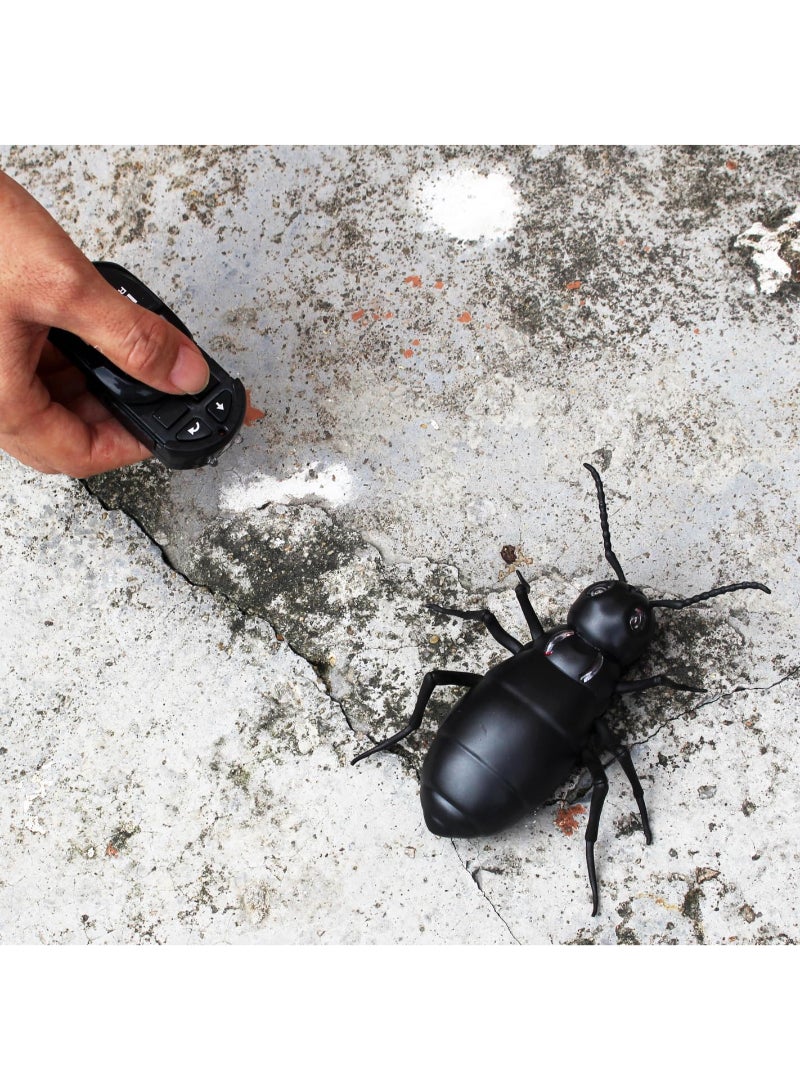 Remote Control Ant RC Car Vehicle Animal Electric Insect 6 Years Plus Kids Toy