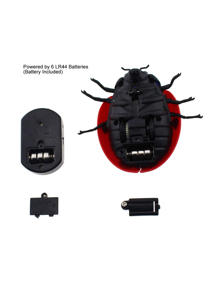 Ladybird Animal Toy Remote Control Car Vehicle Electric Insect Toys For Kids