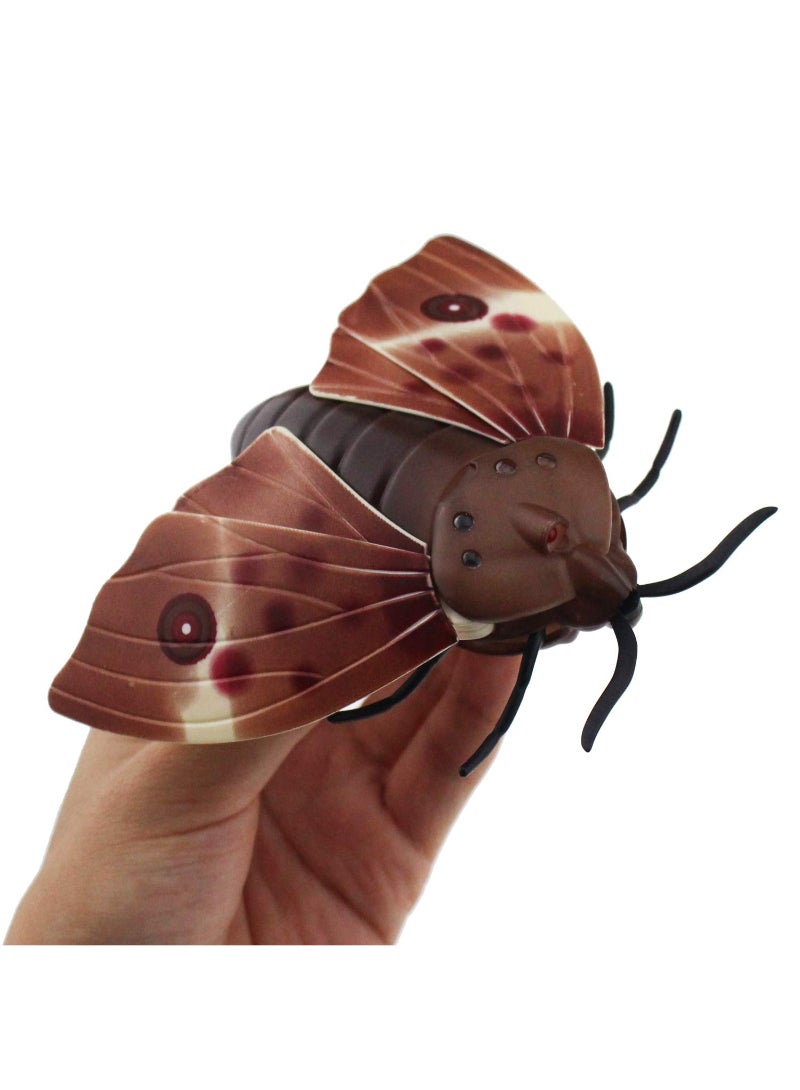 Moth Animal Remote Controlled Car Vehicle Toy Electric Insect Kids Toy Gift