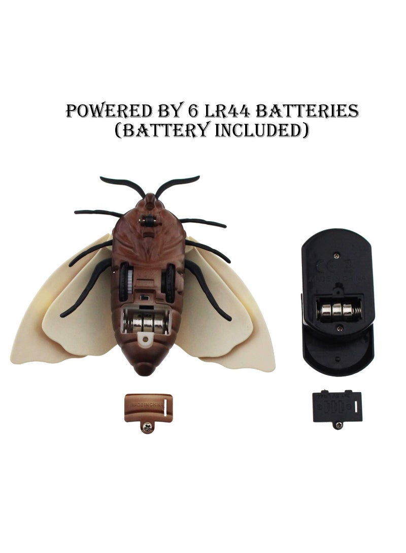 Moth Animal Remote Controlled Car Vehicle Toy Electric Insect Kids Toy Gift