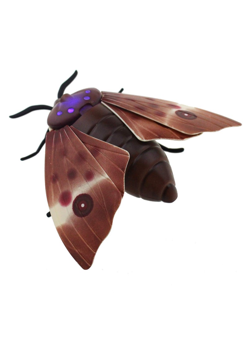 Moth Animal Remote Controlled Car Vehicle Toy Electric Insect Kids Toy Gift