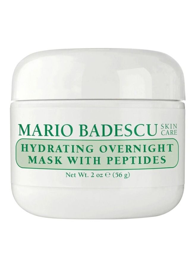 Hydrating Overnight Mask 56g