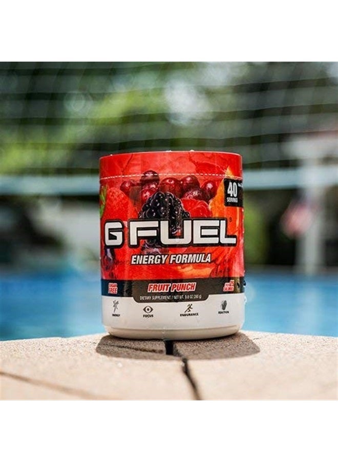 Fruit Punch Tub (40 Servings) Elite Energy and Endurance Formula, 9.8 oz(280g)