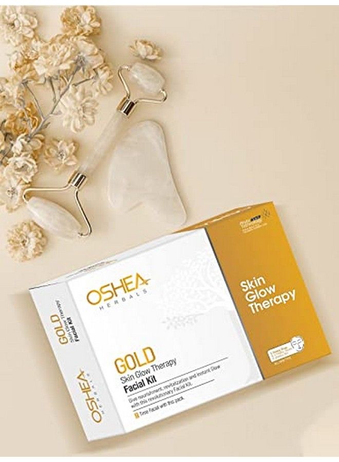 Gold Skin Glow Therapy Facial Kit (New)