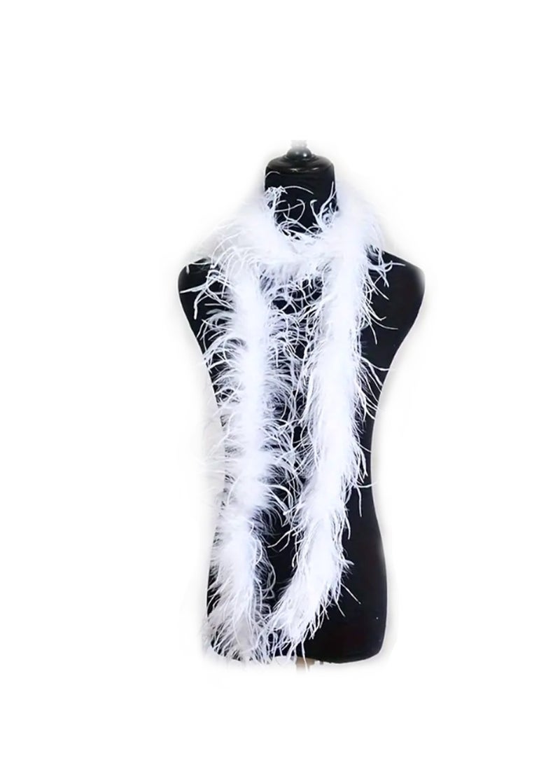 6 Layer 1pc Natural Ostrich Feather, 2m Black Color.