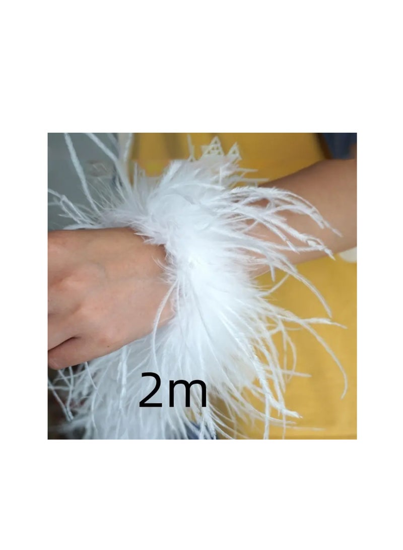 6 Layer 1pc Natural Ostrich Feather, 2m Black Color.