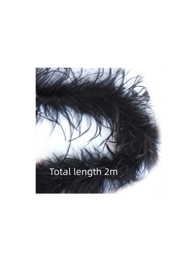 6 Layer 1pc Natural Ostrich Feather, 2m Black Color.