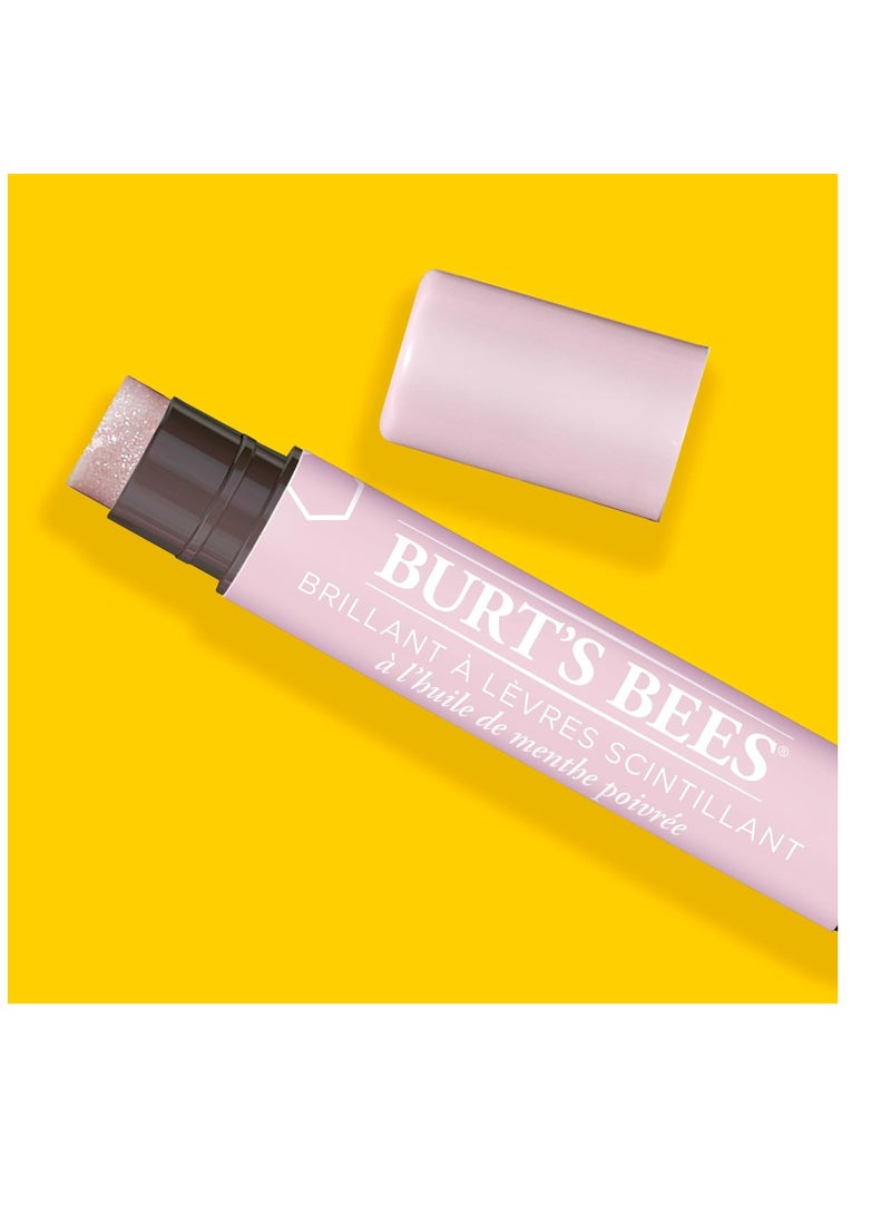 Burt's Bees Shimmer Lip Tint Set, Mothers Day Gifts for Mom Tinted Lip Balm Stick, Moisturizing for All Day Hydration with Natural Origin Glowy Pigmented Finish & Buildable Color, Champagne (4-Pack)