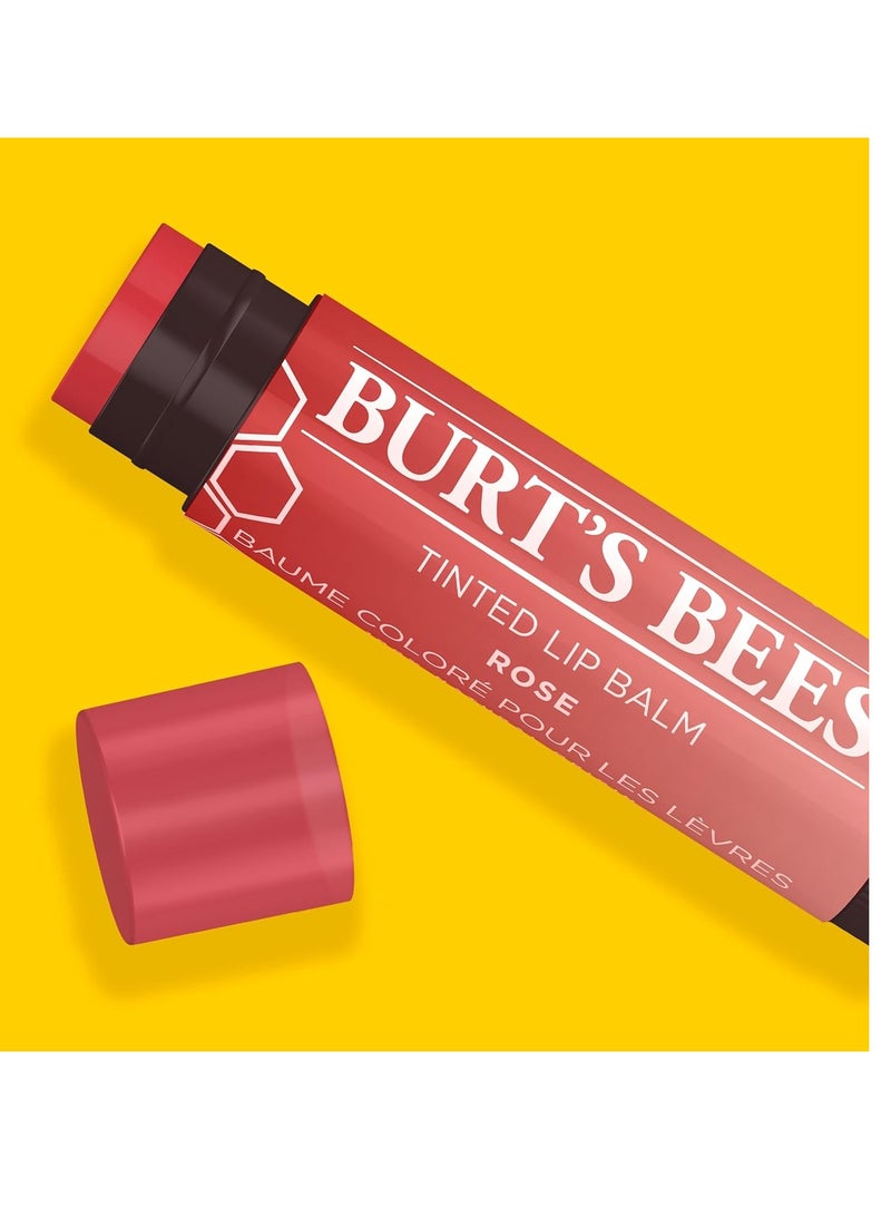 Burt's Bees Lip Tint Balm, Mothers Day Gifts for Mom with Long Lasting 2 in 1 Duo Tinted Formula, Color Infused with Deeply Hydrating Shea Butter for a Buildable Finish, Petal Rose (2-Pack)