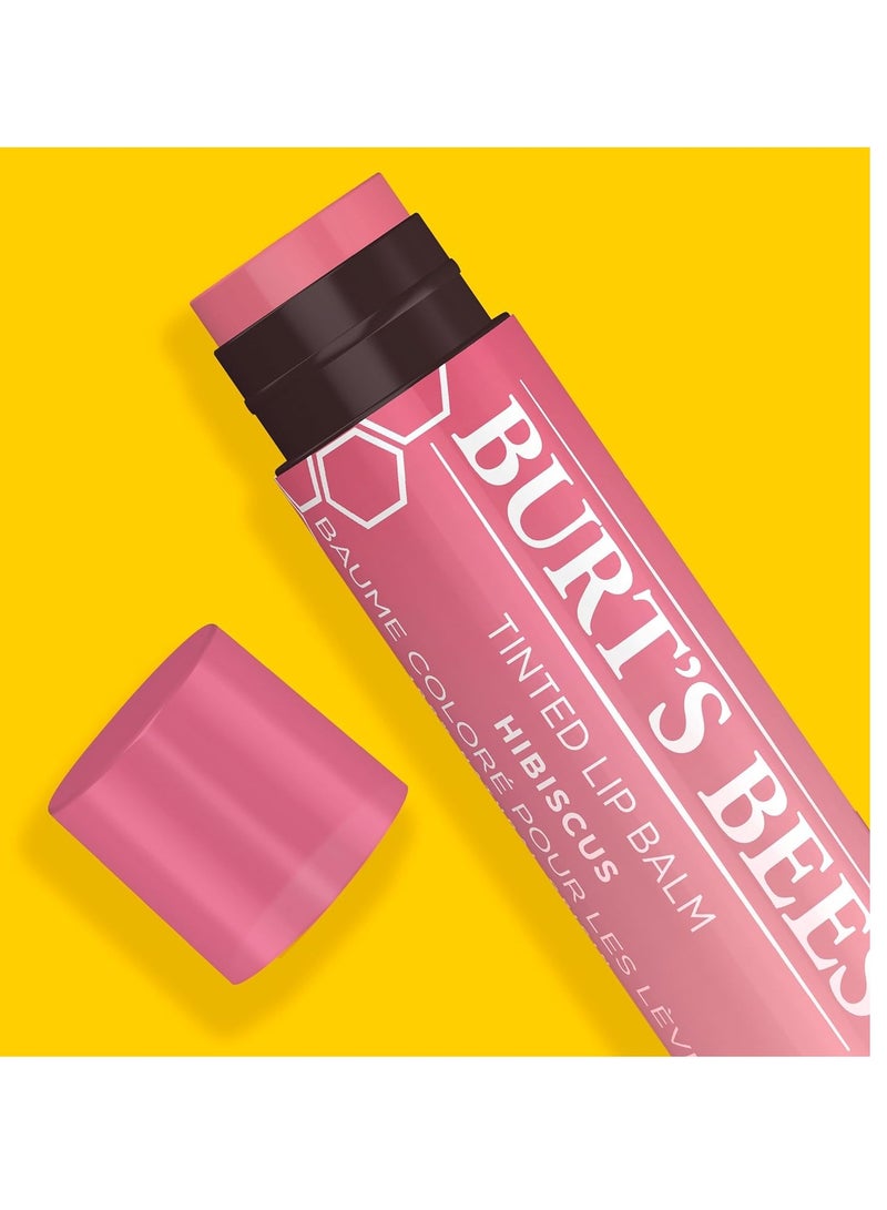 Burt's Bees Lip Tint Balm, Mothers Day Gifts for Mom with Long Lasting 2 in 1 Duo Tinted Balm Formula, Color Infused with Deeply Hydrating Shea Butter for a Buildable Finish, Soft Hibiscus (2-Pack)
